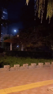 姑娘这裤子是分期买的？