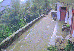 妹子，你这是扣啥呢，细思极恐啊